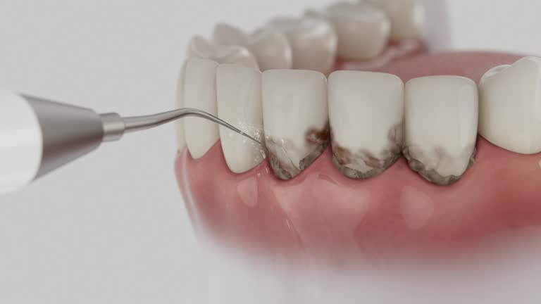 Reliable Teeth Cleaning And Checkup contractor in Mathews County County, VA by Dentist Open Now